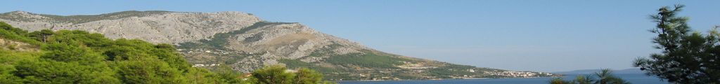 Omis